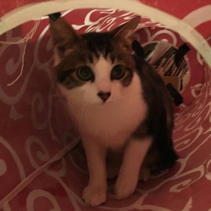 29e5baba 1254 496b 9ba1 bf8e66cb080c