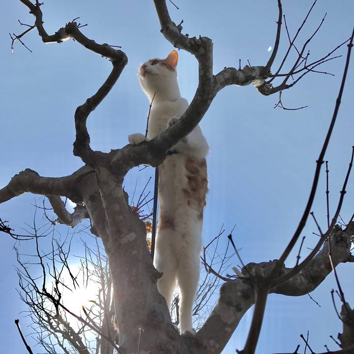 29e6db22 e30d 4e50 8457 e3df879afab6