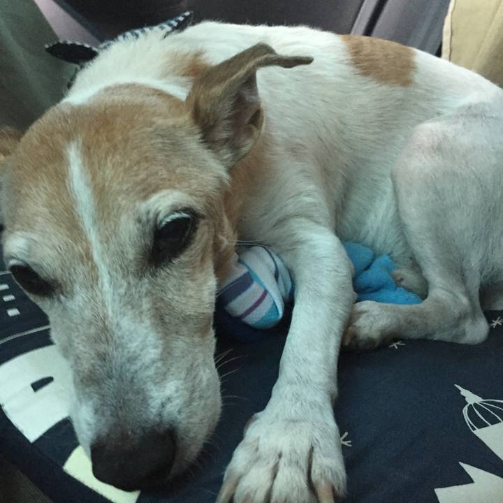 29e6f042 8a8d 4caf ac64 65470cf59582