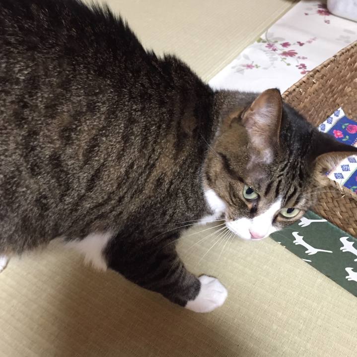 29e7059e dc1b 449d b52e 63690cf27920