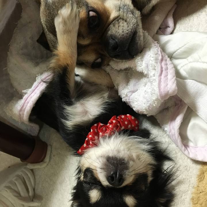 29e785b1 41b6 4ce4 9308 fe7f502bfd2f