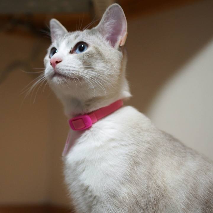 29e7c896 7ba2 45e6 9b90 8b1b7cf34316