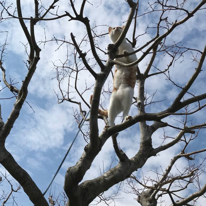 29e84836 d415 4e7b 9cbc 7f33a47d0be2