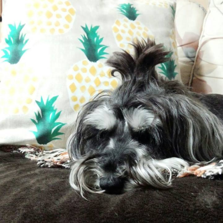 29e95a28 836f 4893 9f70 c04f53885702