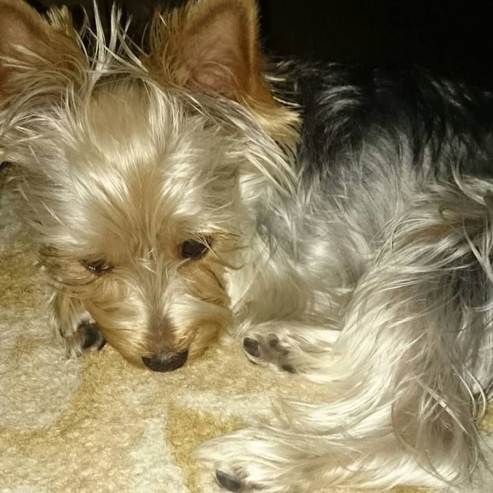 29e9a7b5 66cb 4017 8743 3c7956fb190b