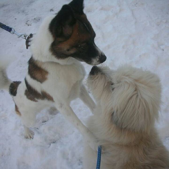 29e9d710 e15c 4be6 8160 660a2b50f206