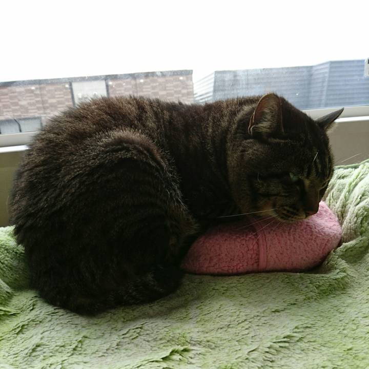 29ea4277 08dd 4bda 9c18 f8babcc101e1