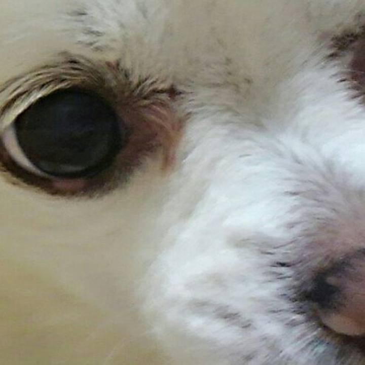 29ea8eab 931b 4387 bf3d 7d55f2c3d913