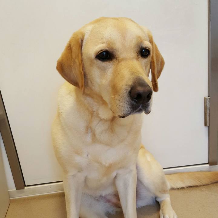 29eaa29d aa1c 47b7 8a8b ea5fb6b11c93