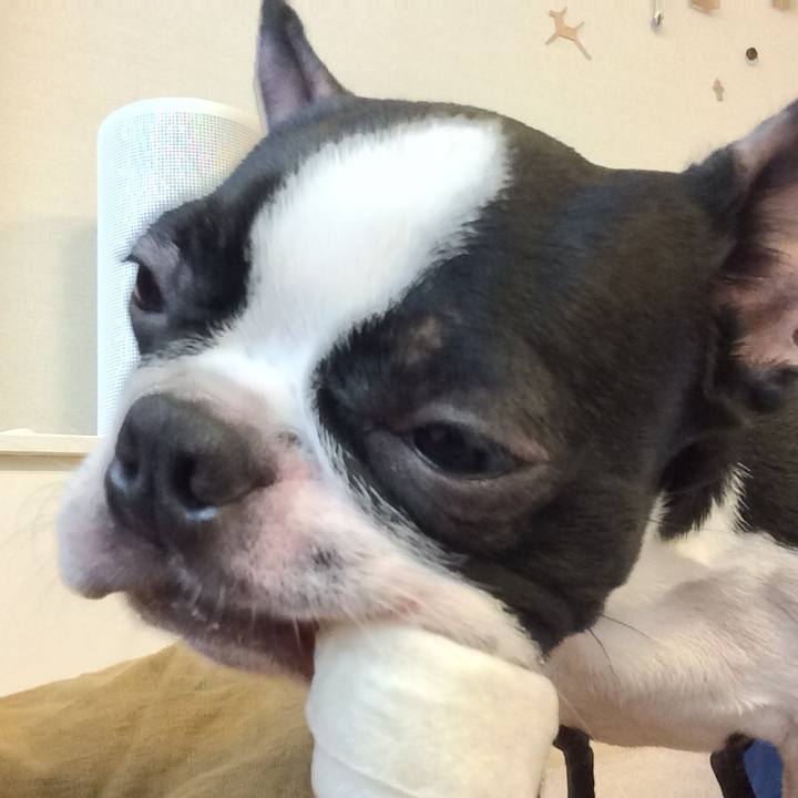 29eb6abc 7dbf 4170 89fa 1bf180237281