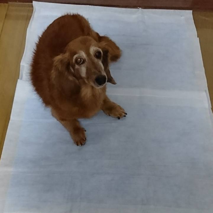 29ebb839 ff38 4357 ac62 810b92388cb1