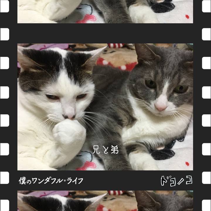 29ebc06e cdbe 4905 a598 ddb6e3730e19