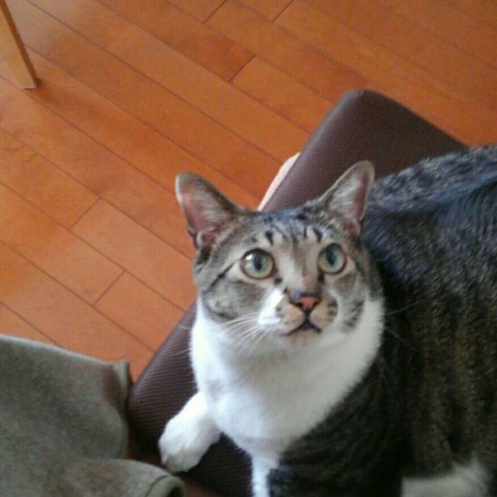 29ebccb6 ef2c 4cff a8d2 12958aef9b99