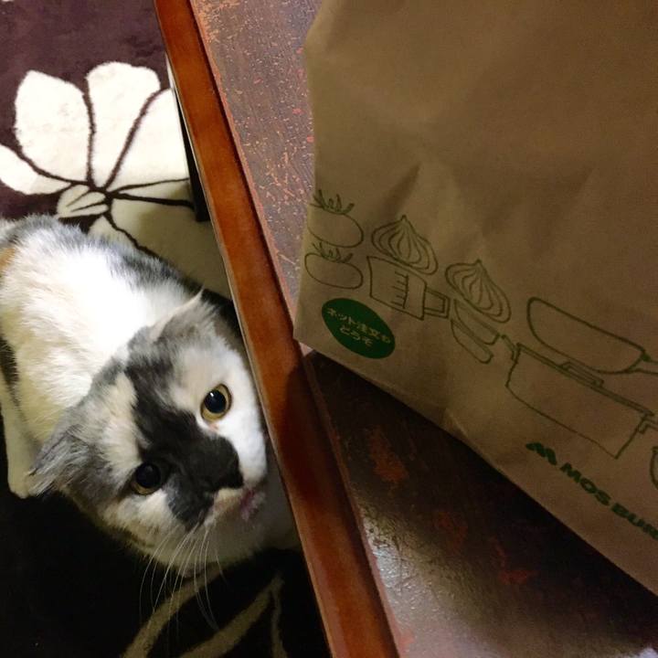 29ebd690 1b4c 4592 a502 3c4d3eb15cc1