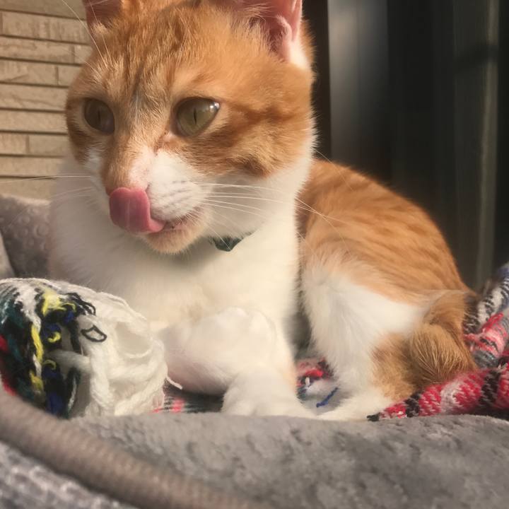 29eccebe 5f09 4c1b b03e 291b656c50b0