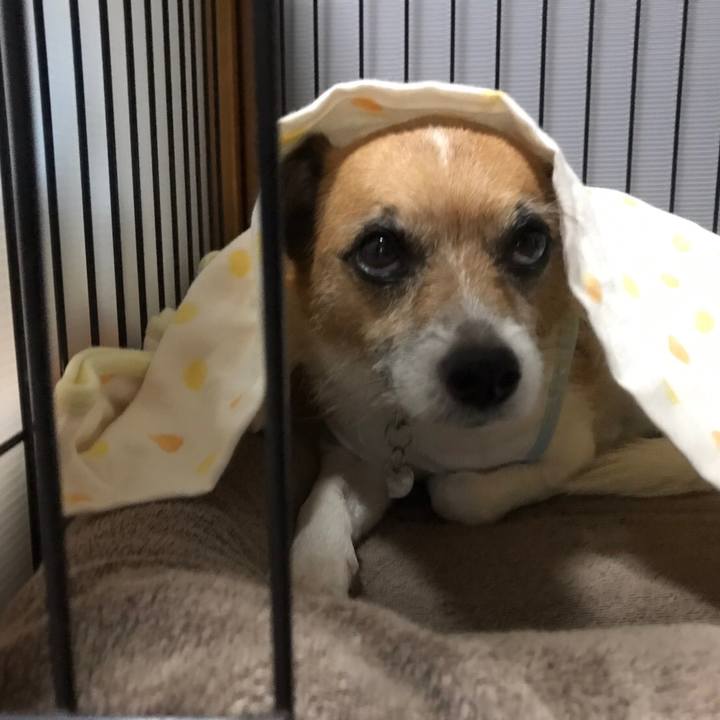 29ee0af5 e8a2 4d34 94fd 268dfc4037e0