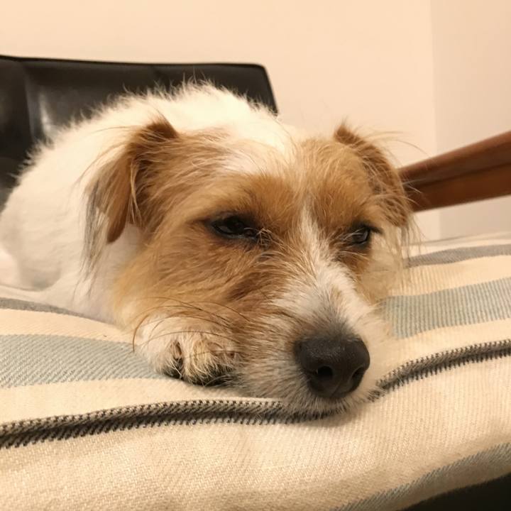 29ee844a 932f 4377 9c80 badd1b51a0b3