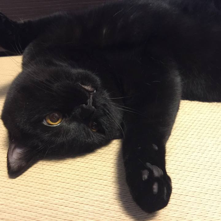 29eefd27 fbc9 4ddb b5c0 e04d94ab21c7