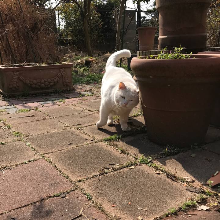 29f0b87e f919 4505 9010 6b83ec83e12e