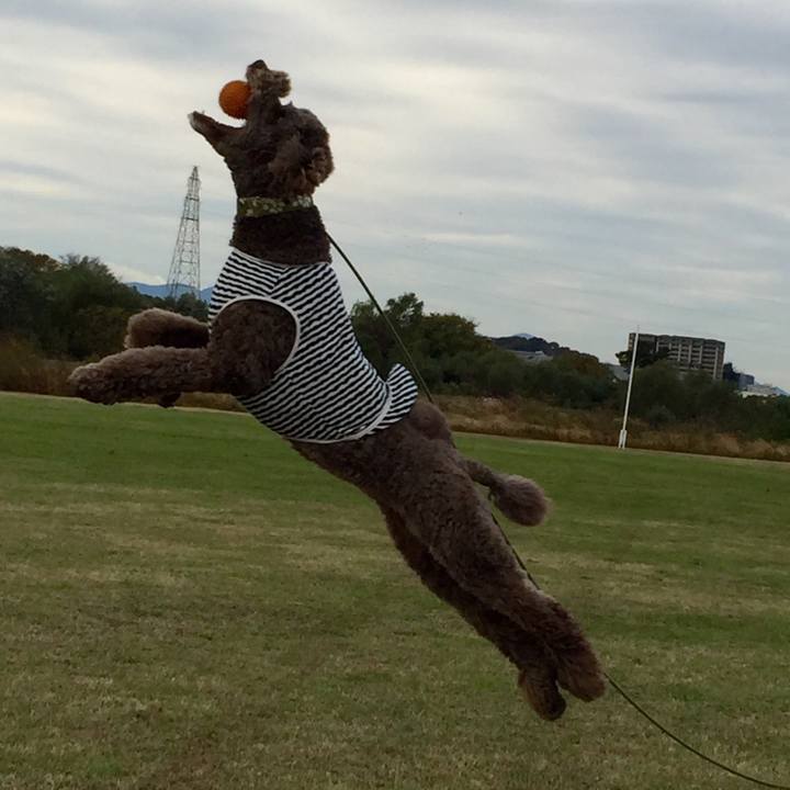 29f0cfba b24e 4f96 a6bf a7ab62a05bde