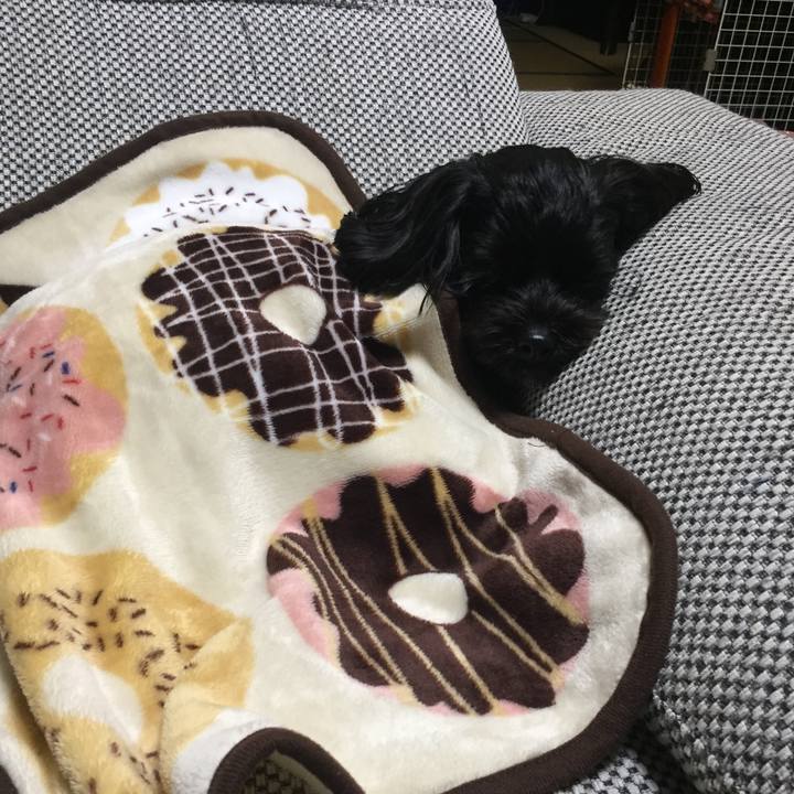 29f19206 df9a 4ac9 9e1b e6f8a6739eac