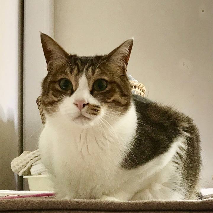 29f1b10f 5642 4edd b063 e40dc46bb34a