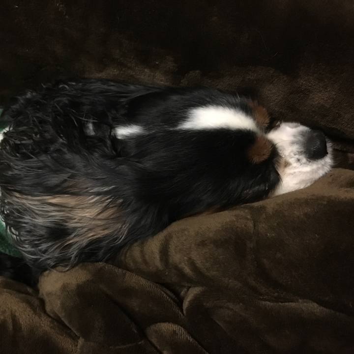 29f23ddf 7cef 402f 93ef 446bb359a69b