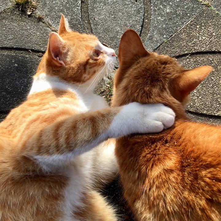 29f2c467 c683 47b7 85cd f2fe0f18cbf6