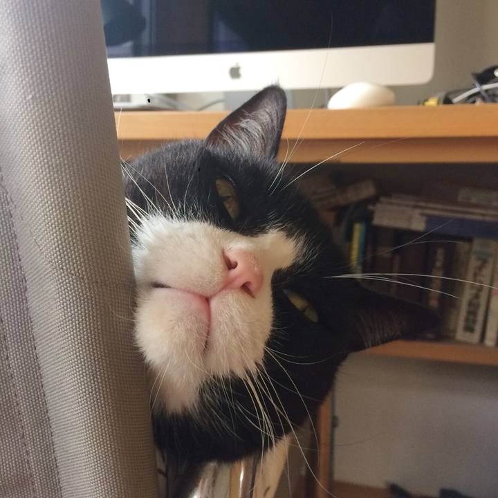 29f31fb7 423f 4481 8503 f068929e731d