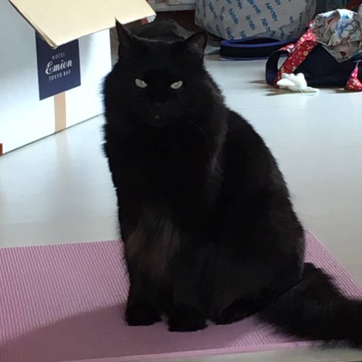 29f33a1c 1705 481b be53 840cd911c091