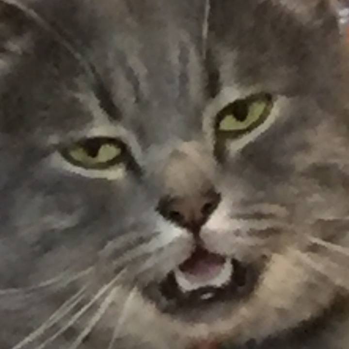 29f39112 9cb2 4b8b 9826 d21508f00bd9