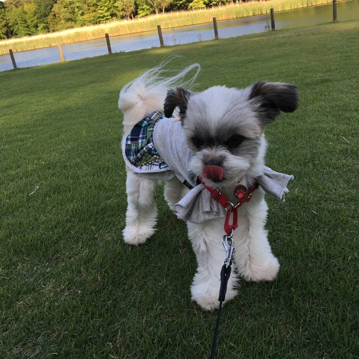 29f3ac41 c5ea 418a 9244 371fd6358933