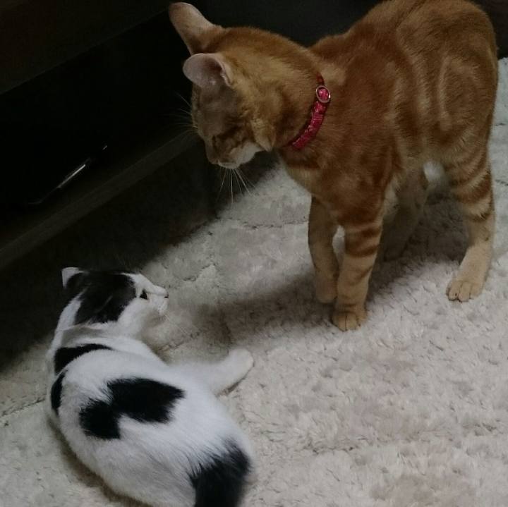 29f3ba3c 2f5c 4724 beb0 1437288a666c