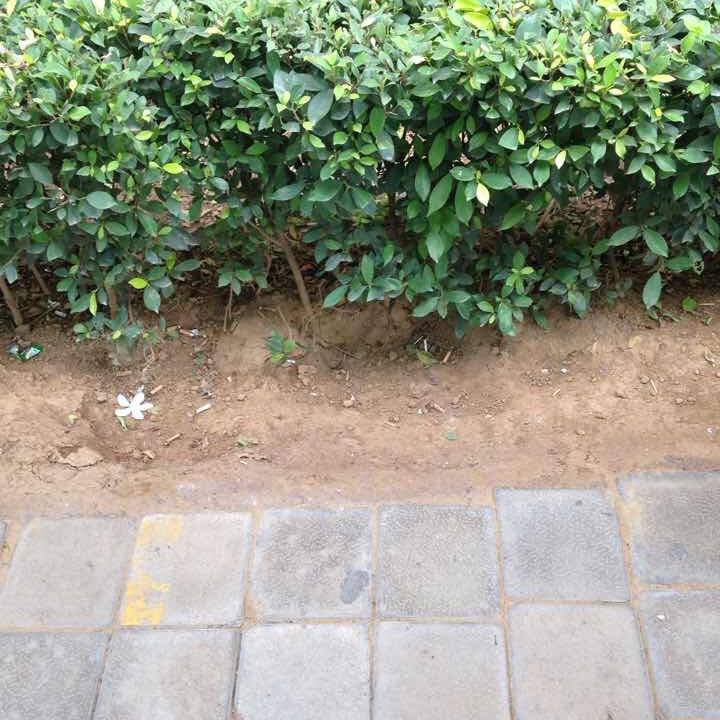 29f3bf7a 643b 44a9 85b7 d28ac7e826b9