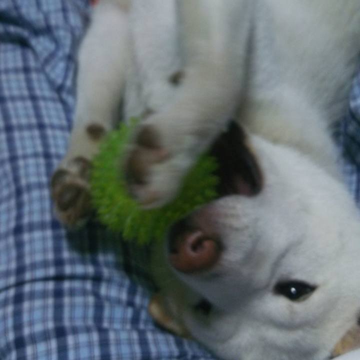 29f3cc0f c7d8 459a 953a b80cab4c560b