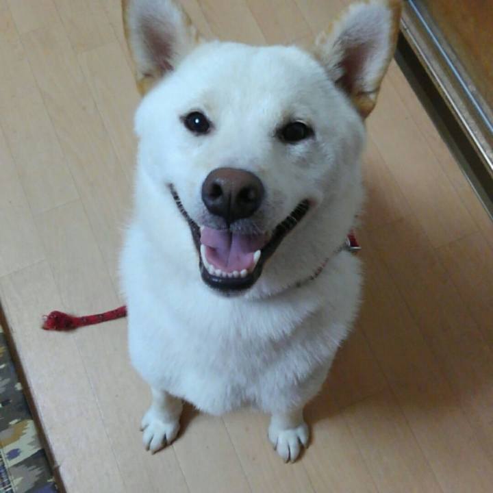 29f3f620 89ce 4da0 a058 92e77aaca48c