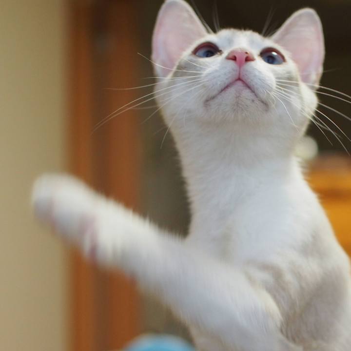 29f40c4d 19fb 4715 9736 780993b49407