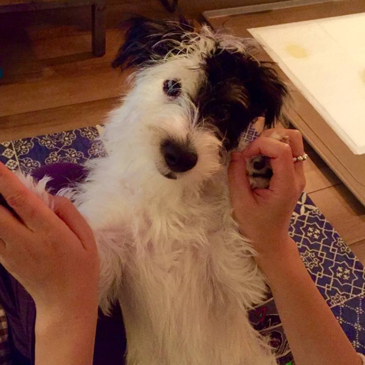 29f41077 4bc6 4e33 8b91 5dcb9999333b