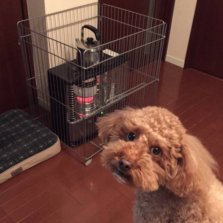 29f42b7d e6d4 4c1b b1c7 3346a151391a