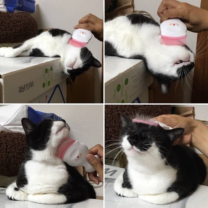 29f43fd1 f0ce 4c0c 8503 8b6e1df94092