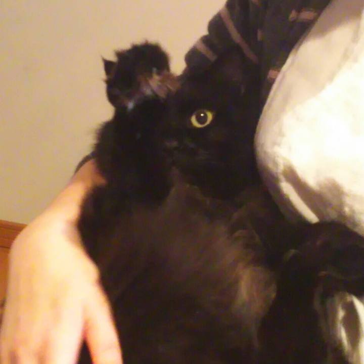 29f475ca be0e 4bcb 9ad3 13451393be92