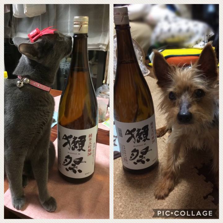 29f61ad7 a364 4ed2 8c40 54a74033b92f