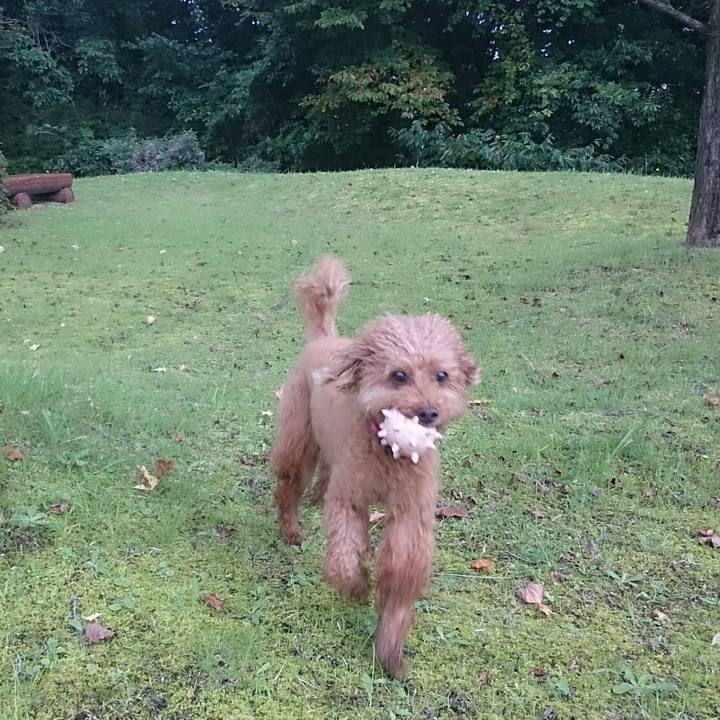 29f6e4c8 330e 4f80 8211 c828d085248d