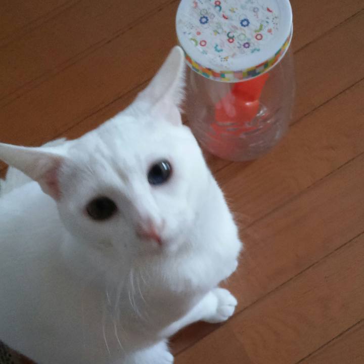 29f76336 2881 499a 9d08 eafec0b467fd