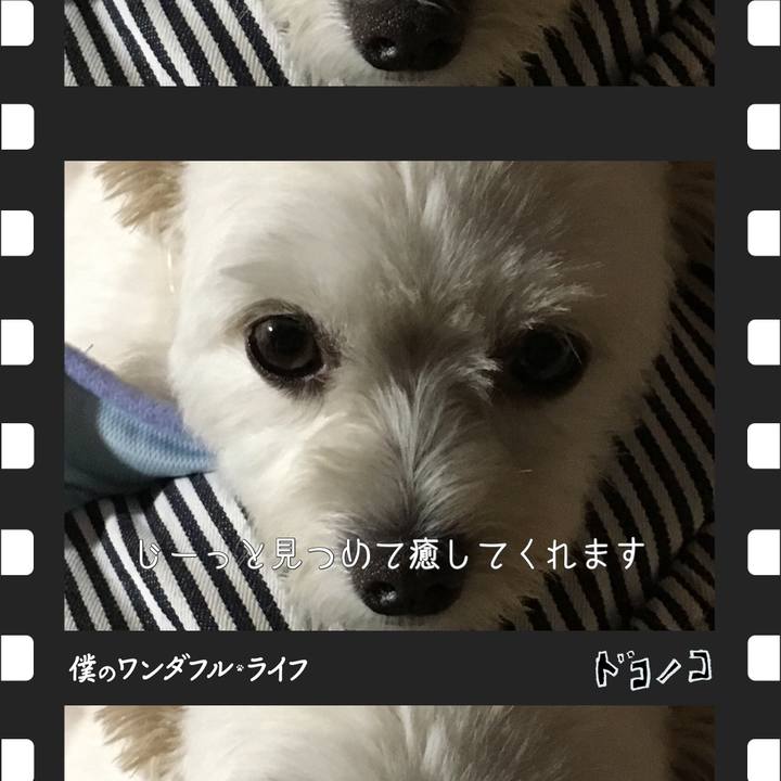 29f76ddd e79d 4eae b2fb 432321a9d7eb