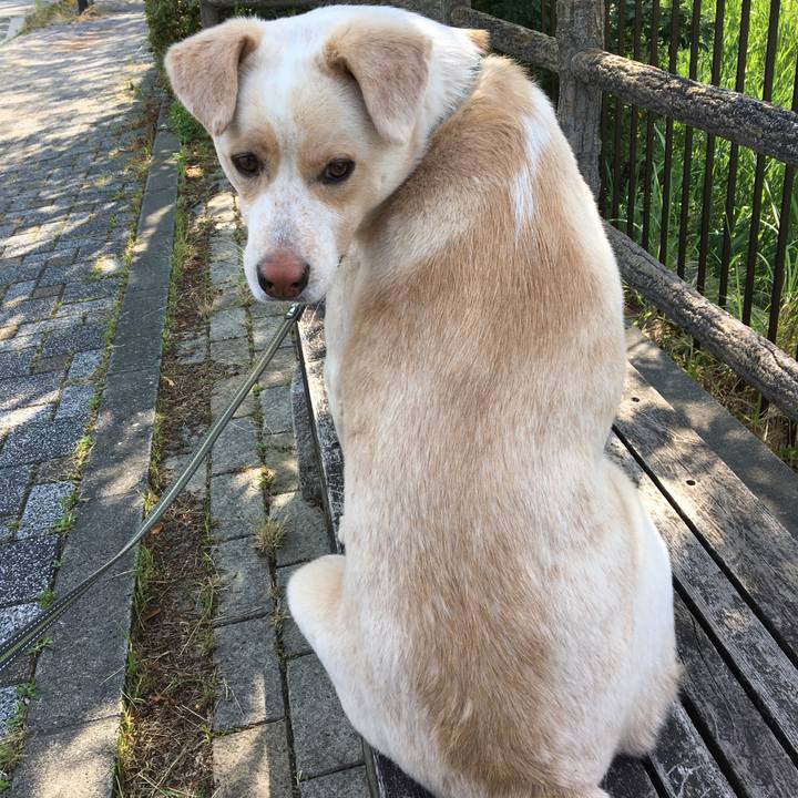 29f7a700 7468 4be6 a81a 58dcb382d30d