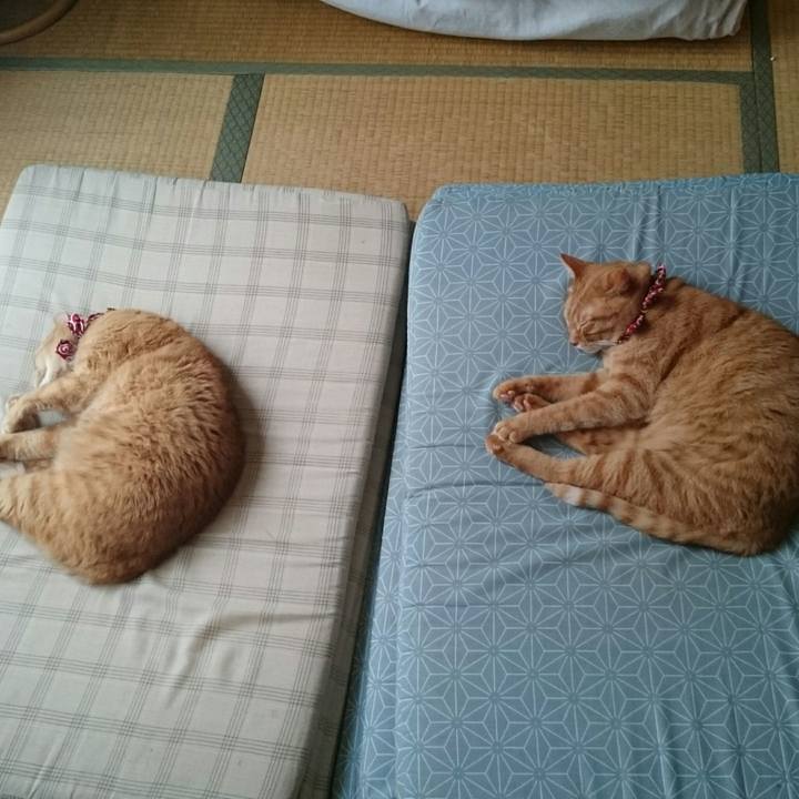 29f82520 83b2 42ca aa0f 08af6b29ce7c