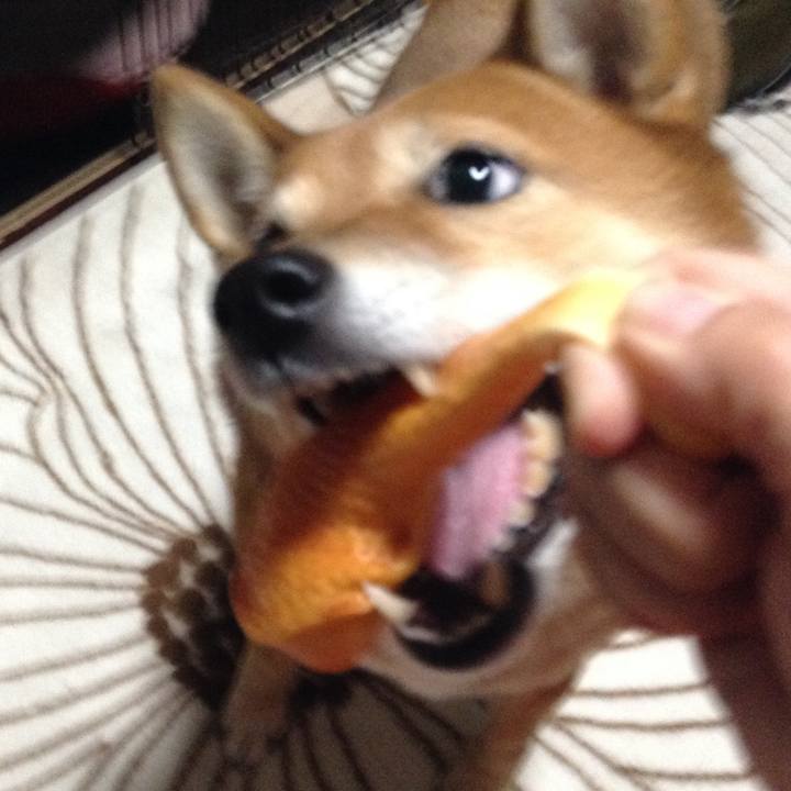 29f8fb0e f890 4a58 9a54 a9e899761ce1