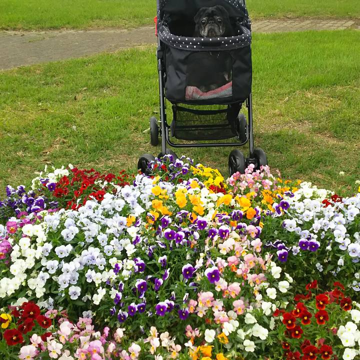 29f918c2 707a 42e3 a8c8 f7b766339b43