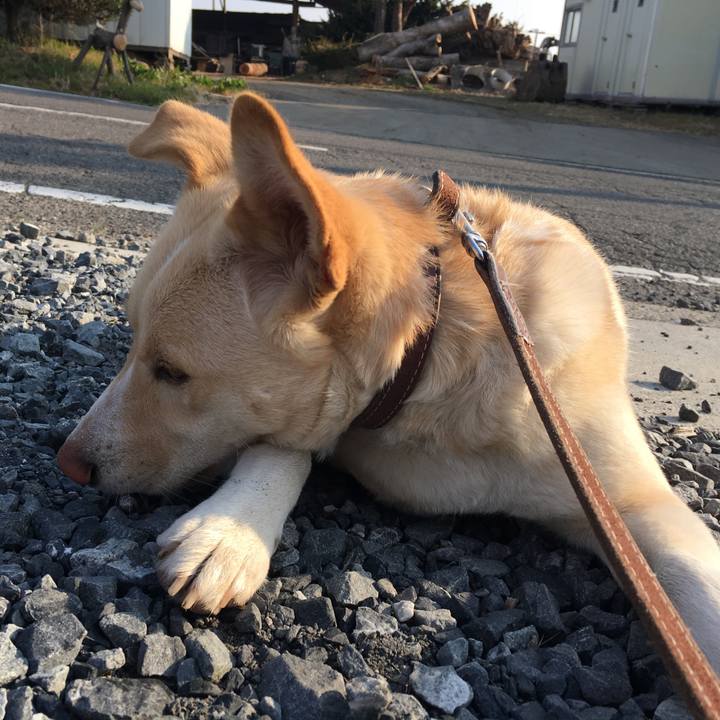 29f991ec 4bae 4b85 a02b 39257d9146f7